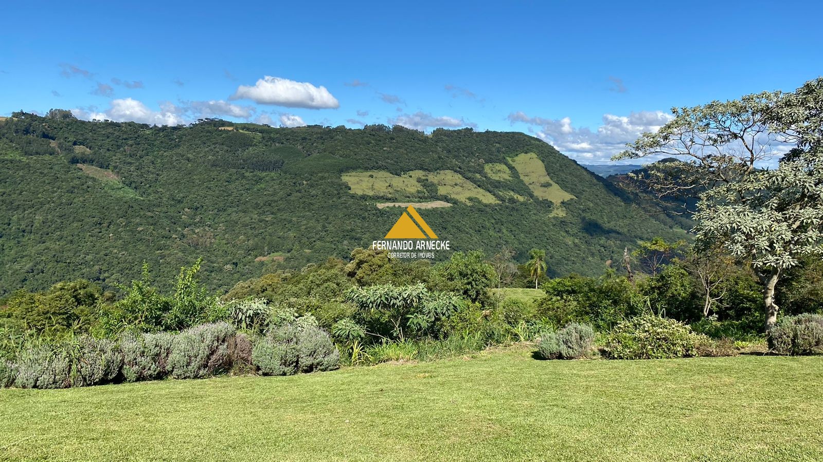 Sítio à venda com 4 quartos, 100000m² - Foto 10