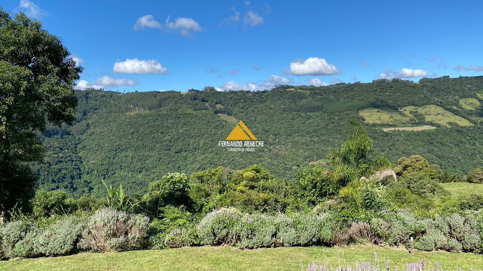 Sítio à venda com 4 quartos, 100000m² - Foto 11