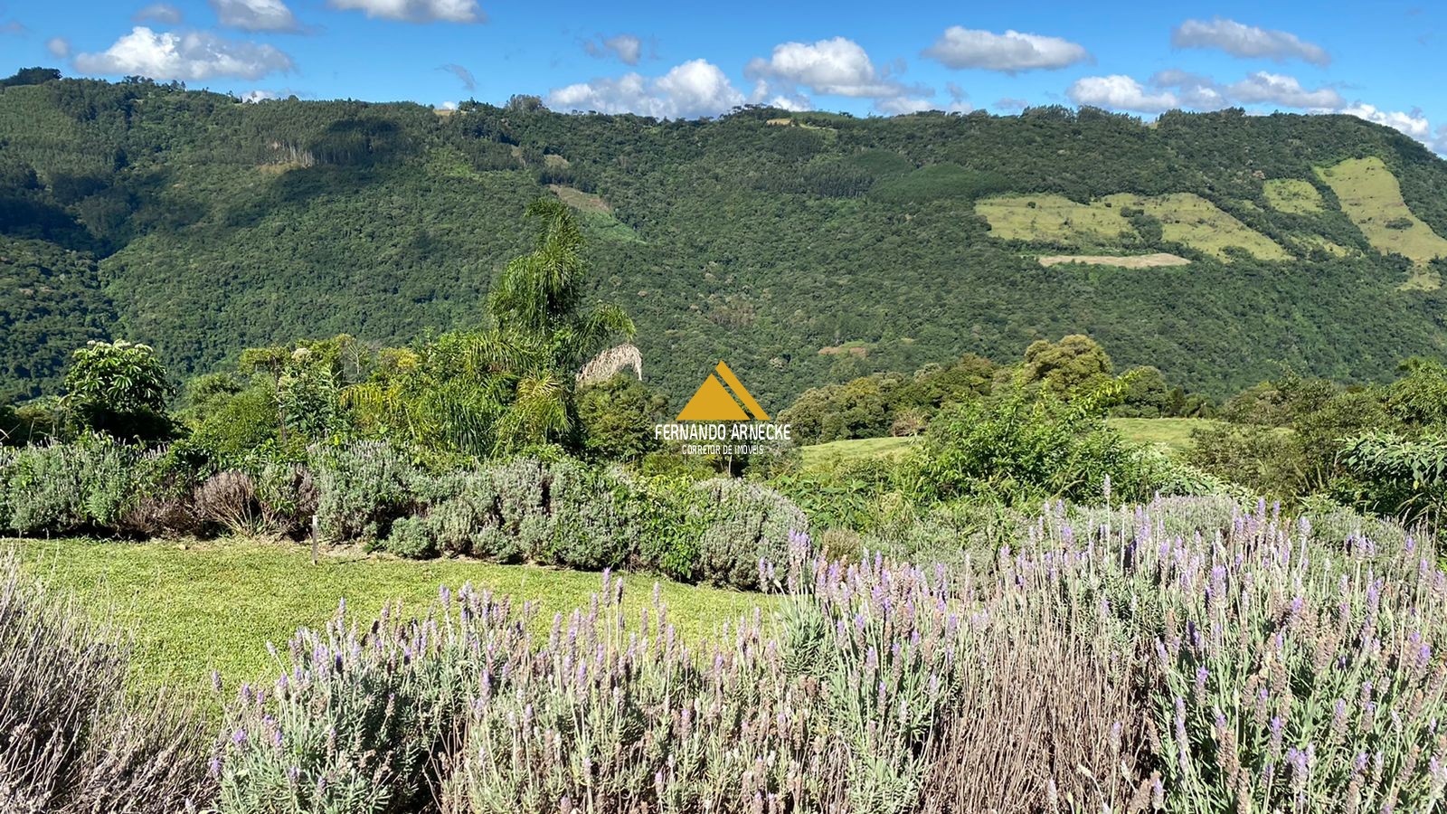 Sítio à venda com 4 quartos, 100000m² - Foto 4
