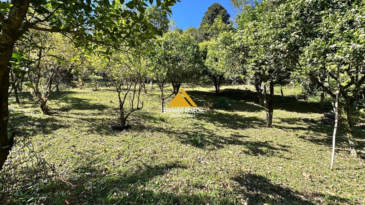Sítio à venda com 3 quartos, 53000m² - Foto 11