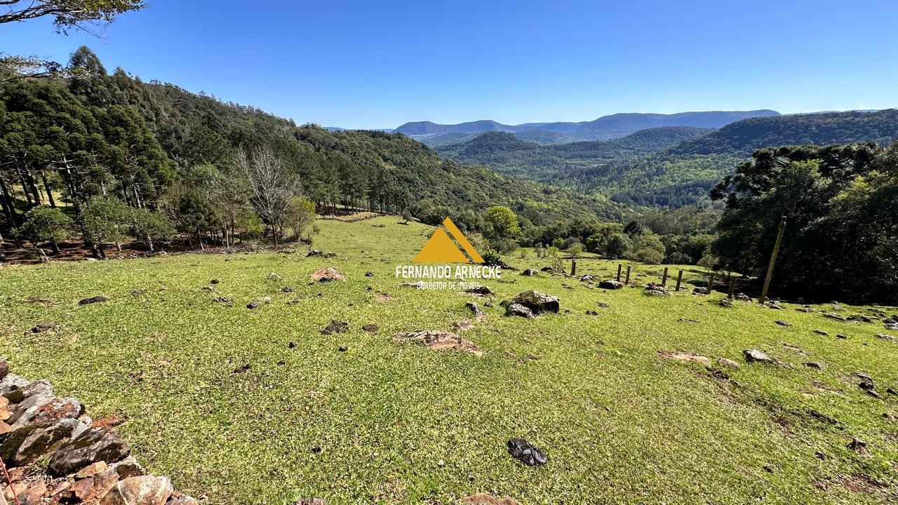 Sítio à venda com 3 quartos, 53000m² - Foto 18