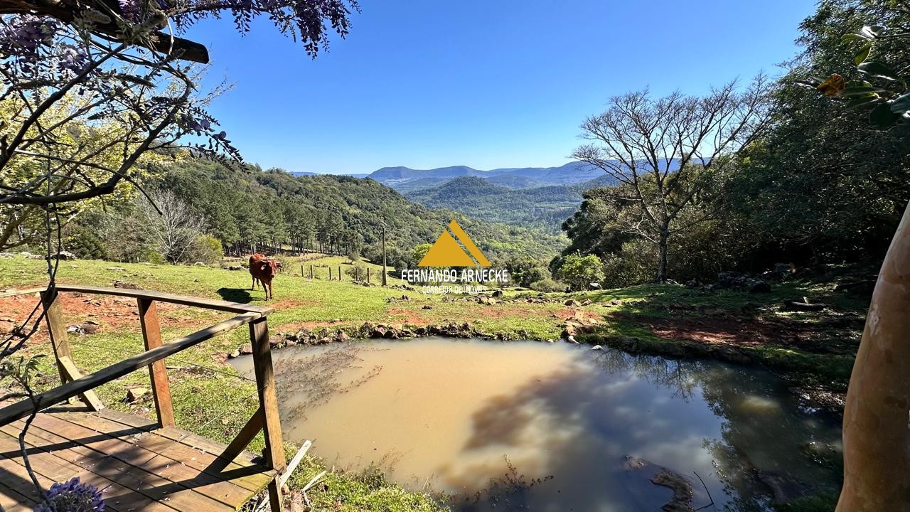 Sítio à venda com 3 quartos, 53000m² - Foto 2