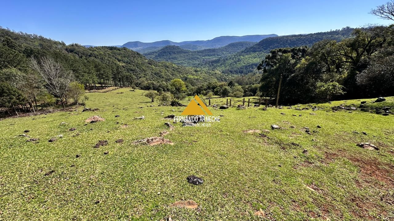 Sítio à venda com 3 quartos, 53000m² - Foto 20
