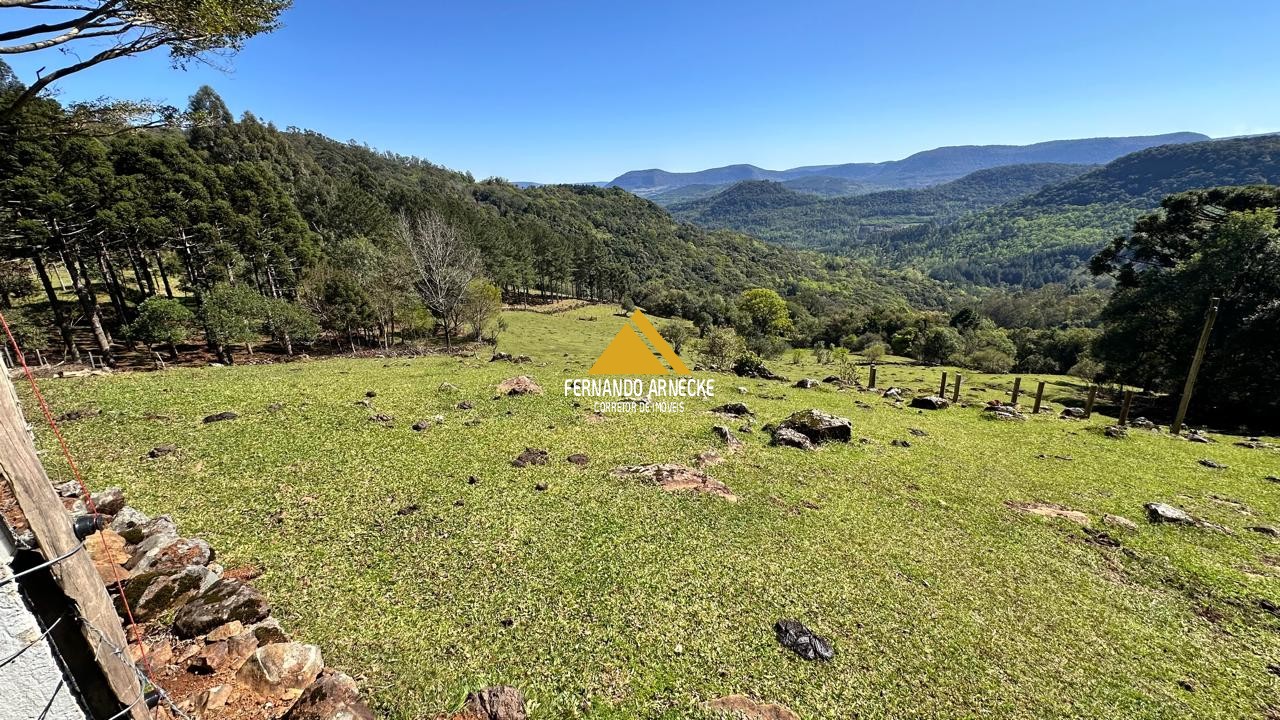 Sítio à venda com 3 quartos, 53000m² - Foto 21