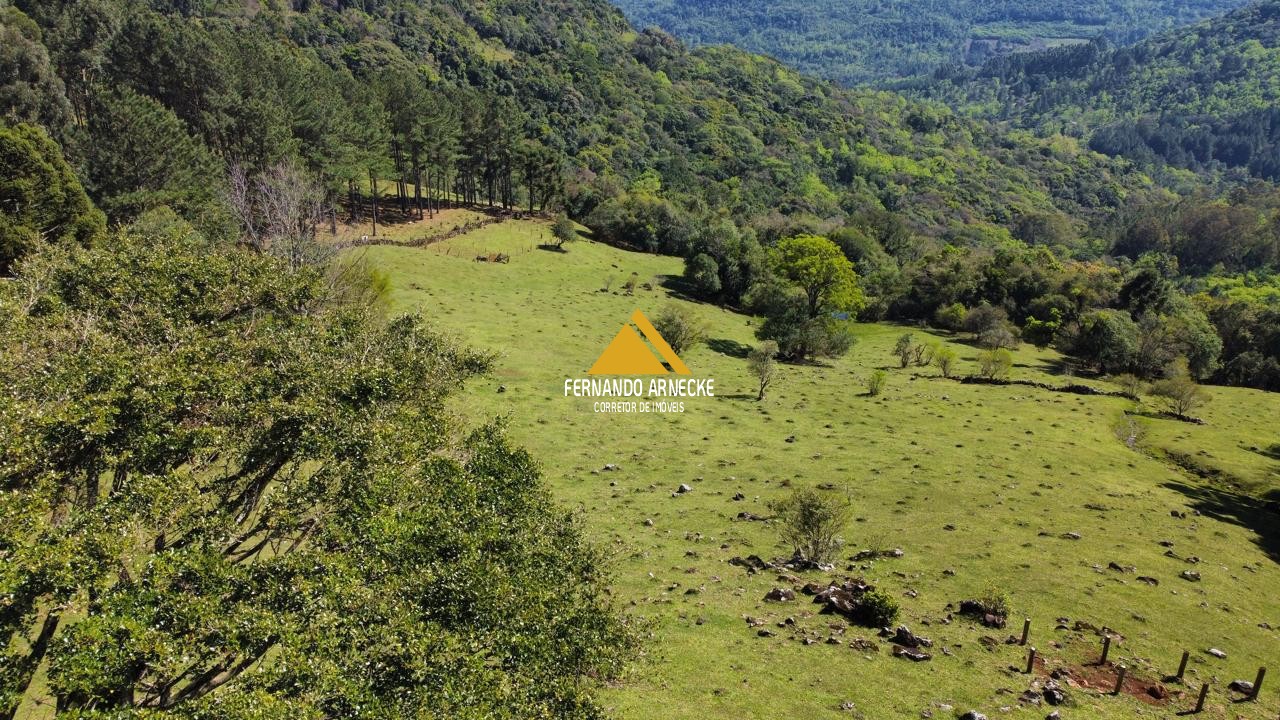 Sítio à venda com 3 quartos, 53000m² - Foto 23