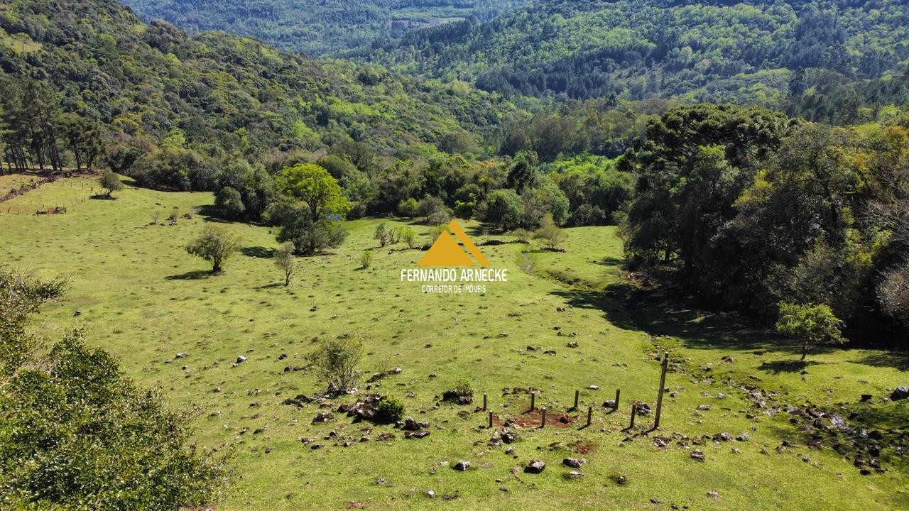 Sítio à venda com 3 quartos, 53000m² - Foto 25