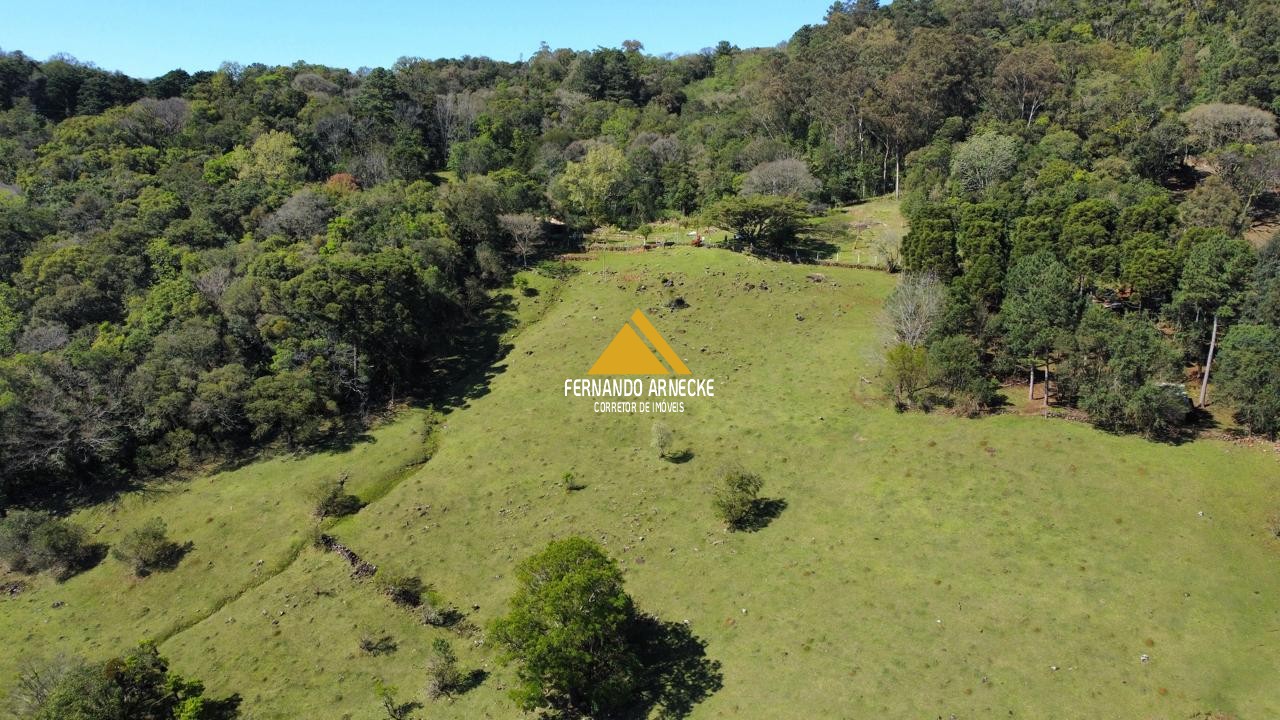 Sítio à venda com 3 quartos, 53000m² - Foto 27