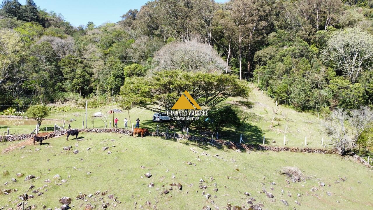 Sítio à venda com 3 quartos, 53000m² - Foto 28