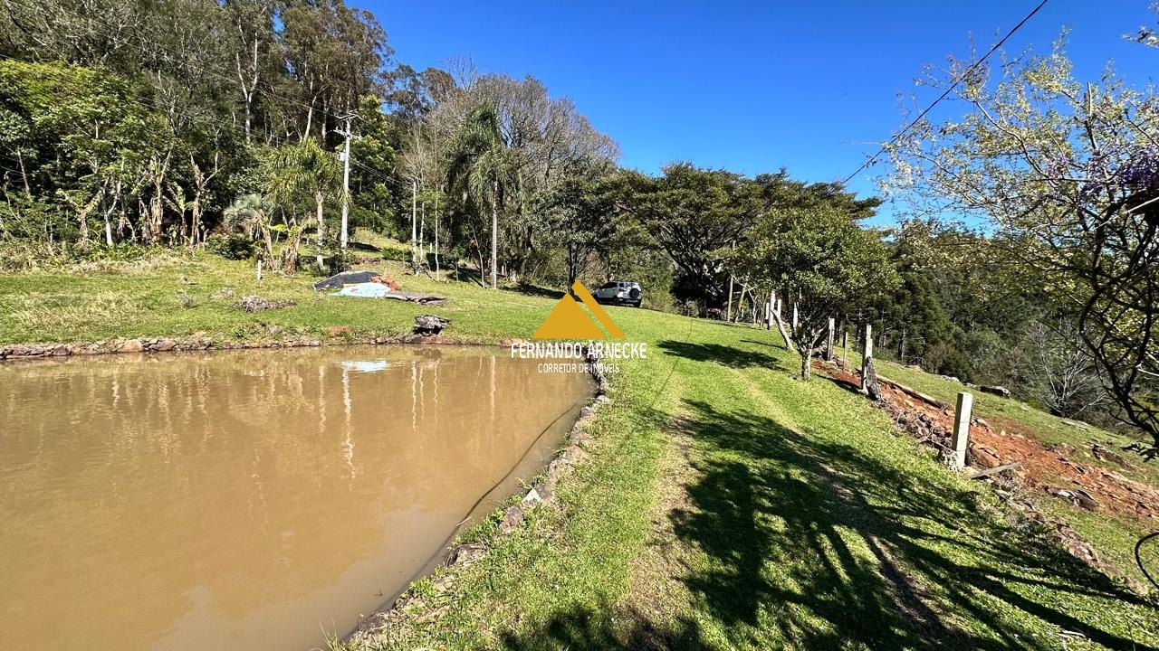Sítio à venda com 3 quartos, 53000m² - Foto 3