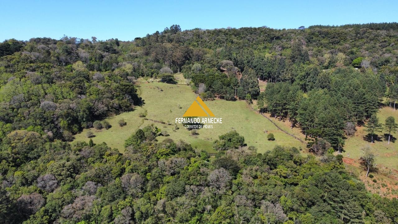 Sítio à venda com 3 quartos, 53000m² - Foto 30
