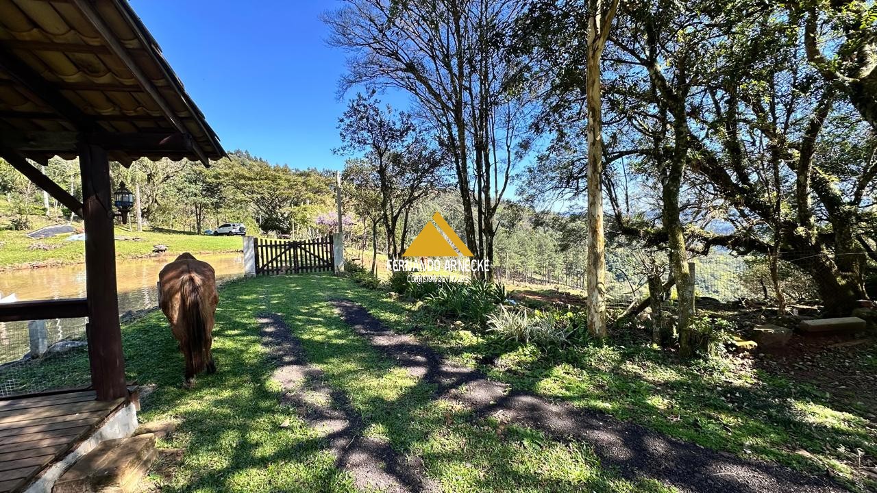 Sítio à venda com 3 quartos, 53000m² - Foto 7