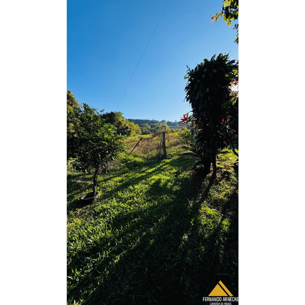 Chácara à venda com 3 quartos, 40000m² - Foto 10