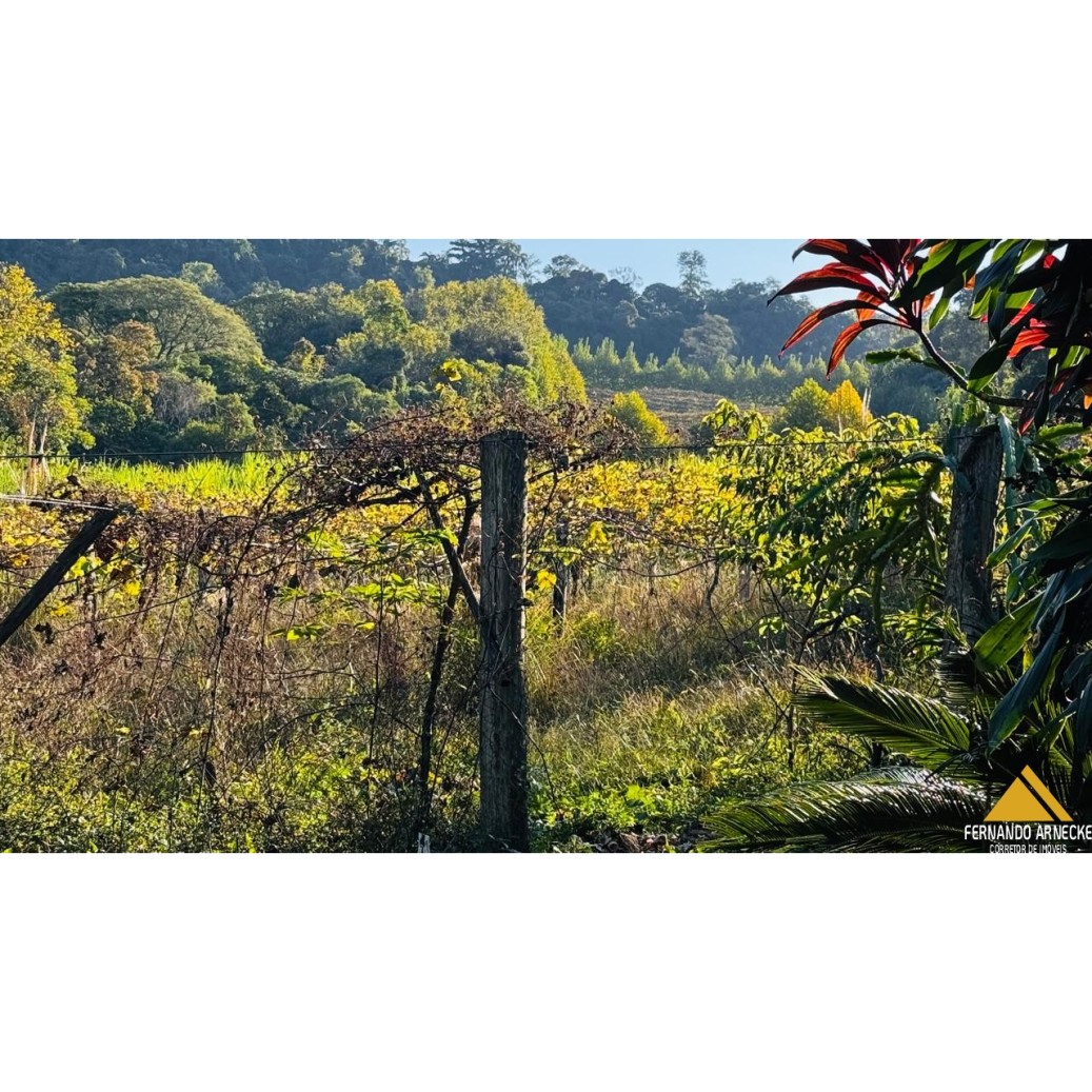 Chácara à venda com 3 quartos, 40000m² - Foto 12
