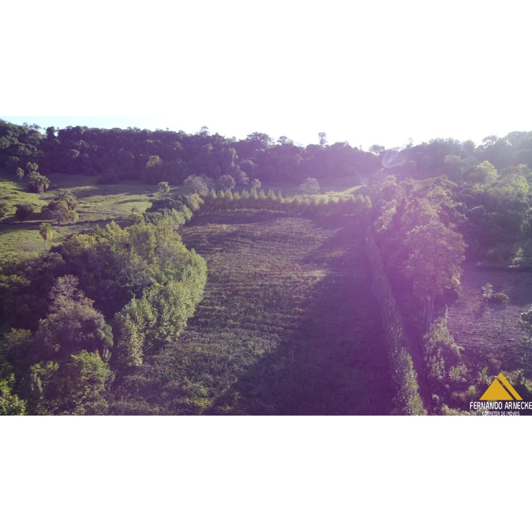 Chácara à venda com 3 quartos, 40000m² - Foto 15