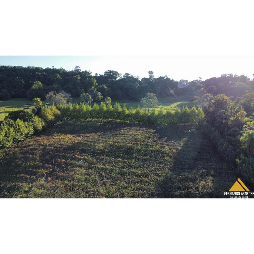 Chácara à venda com 3 quartos, 40000m² - Foto 16