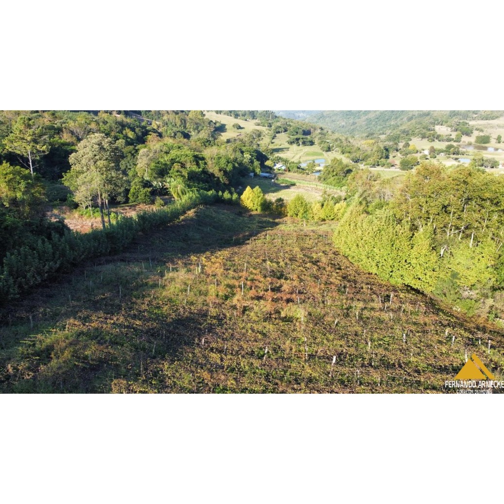 Chácara à venda com 3 quartos, 40000m² - Foto 17