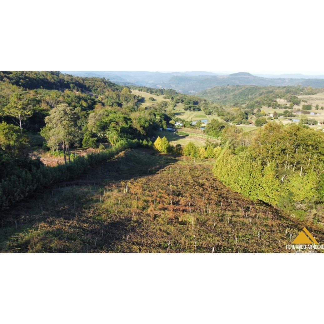 Chácara à venda com 3 quartos, 40000m² - Foto 18
