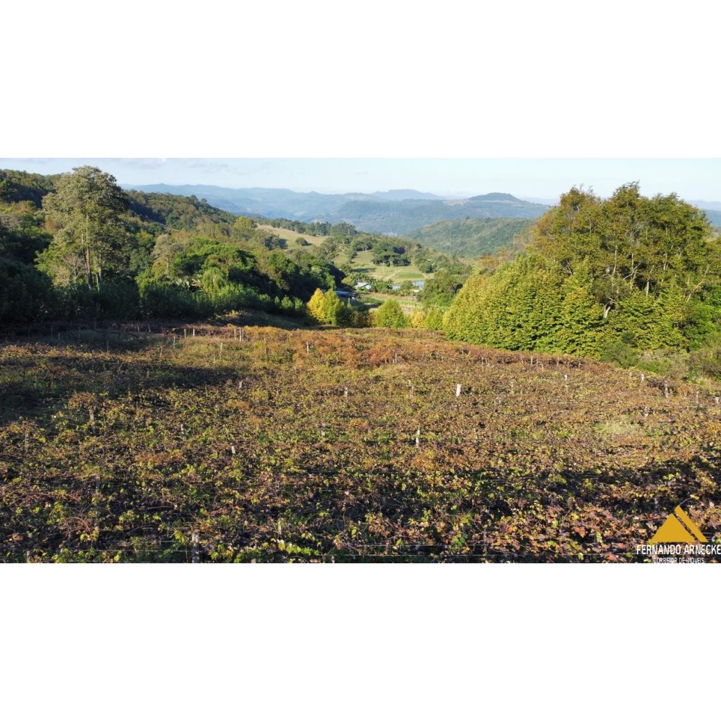 Chácara à venda com 3 quartos, 40000m² - Foto 19