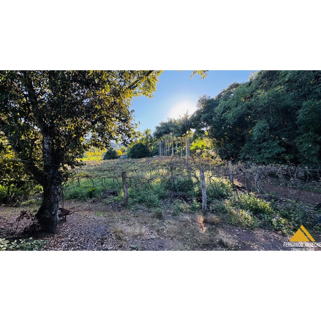 Chácara à venda com 3 quartos, 40000m² - Foto 2