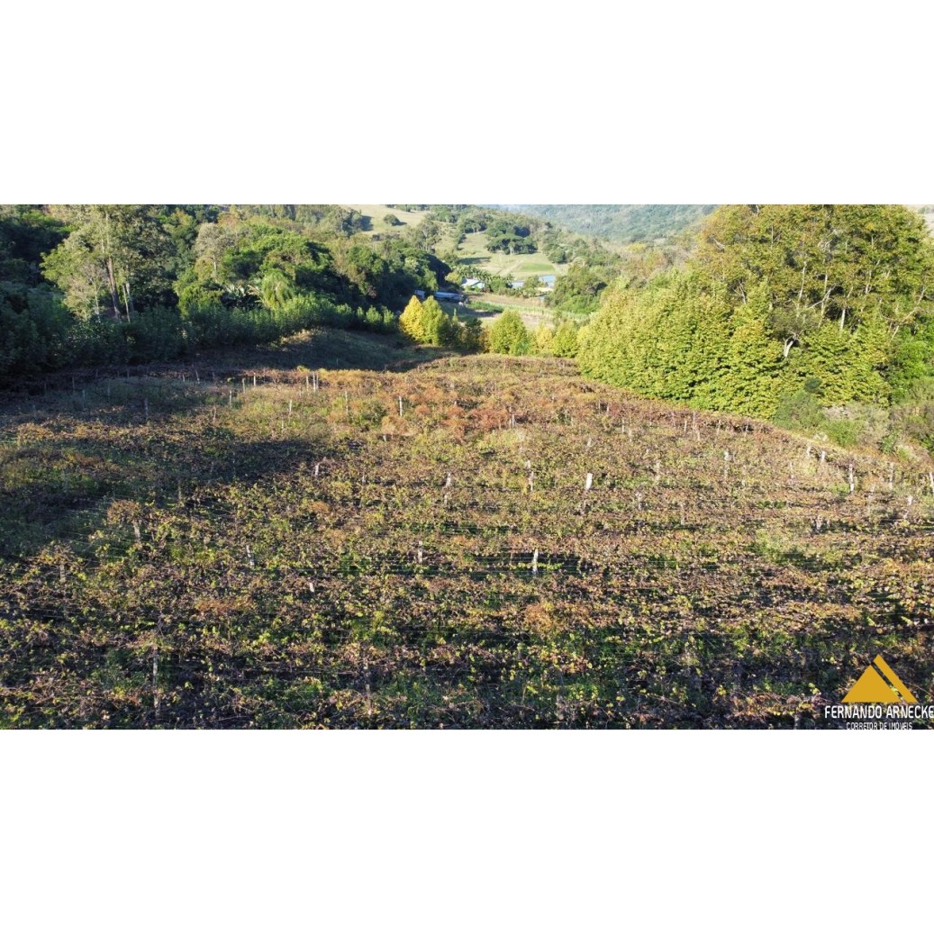 Chácara à venda com 3 quartos, 40000m² - Foto 20