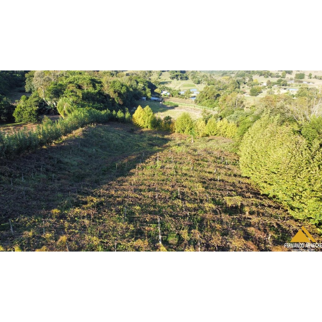 Chácara à venda com 3 quartos, 40000m² - Foto 21