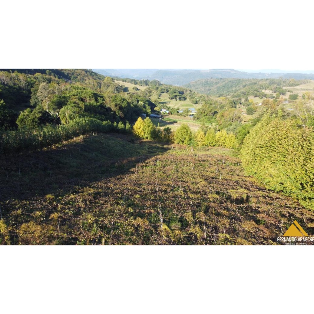 Chácara à venda com 3 quartos, 40000m² - Foto 22