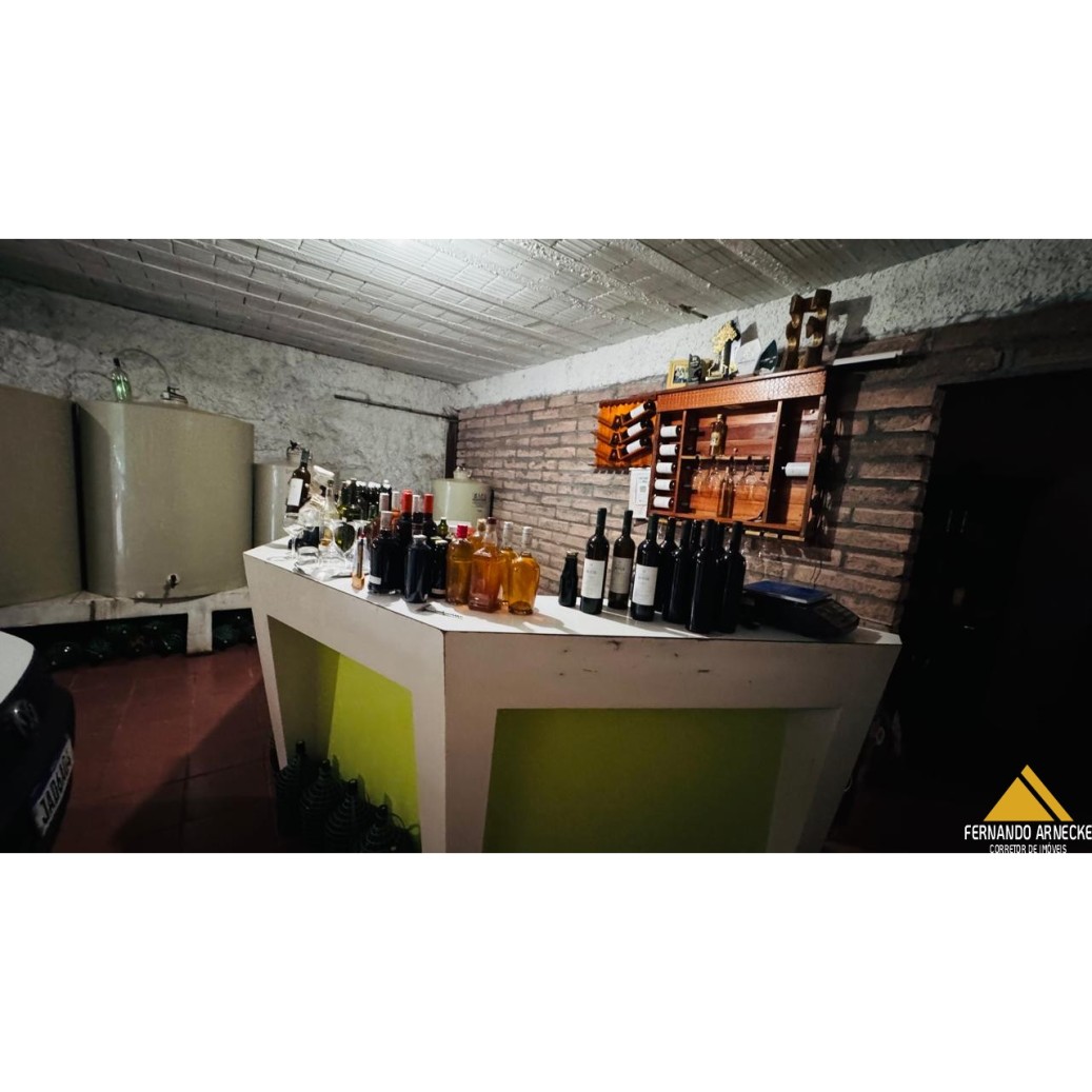 Chácara à venda com 3 quartos, 40000m² - Foto 30