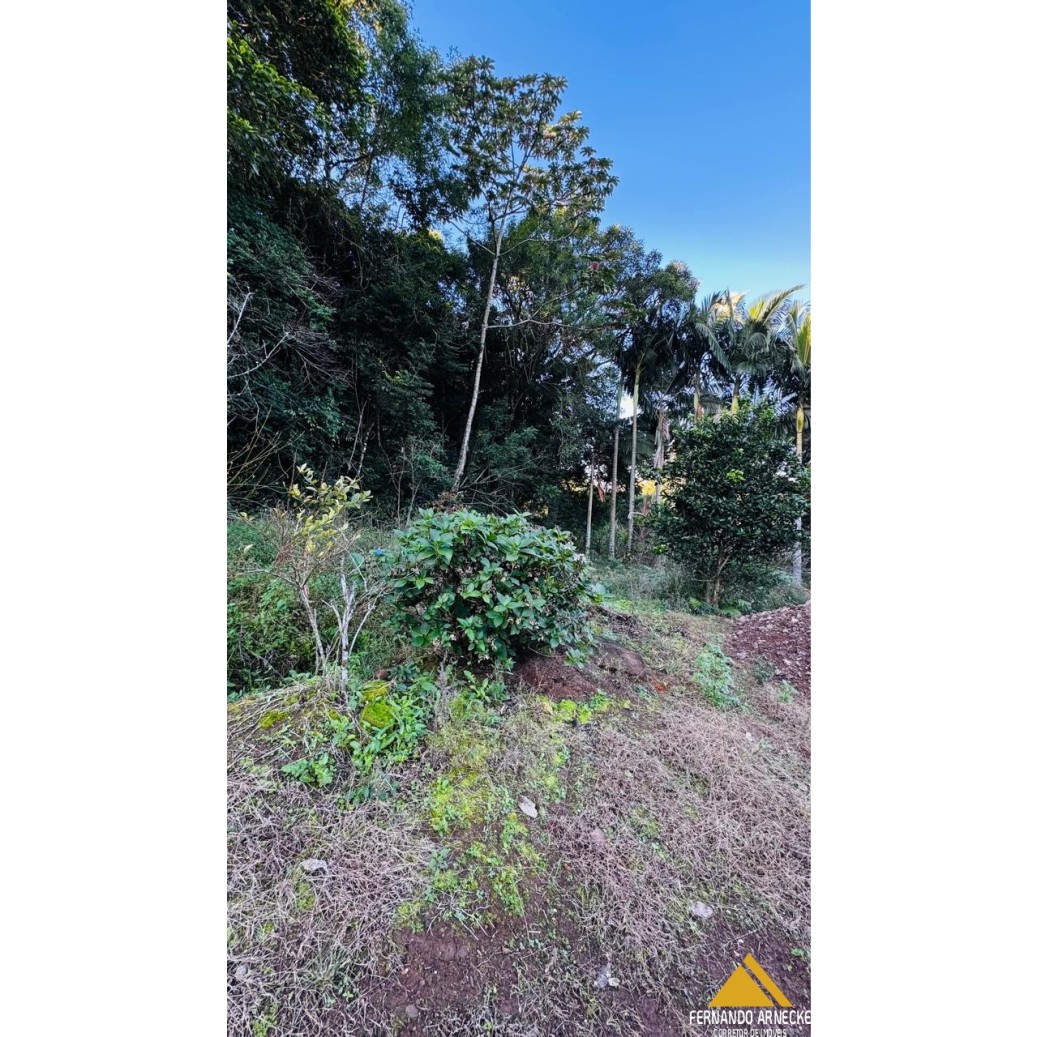 Chácara à venda com 3 quartos, 40000m² - Foto 4