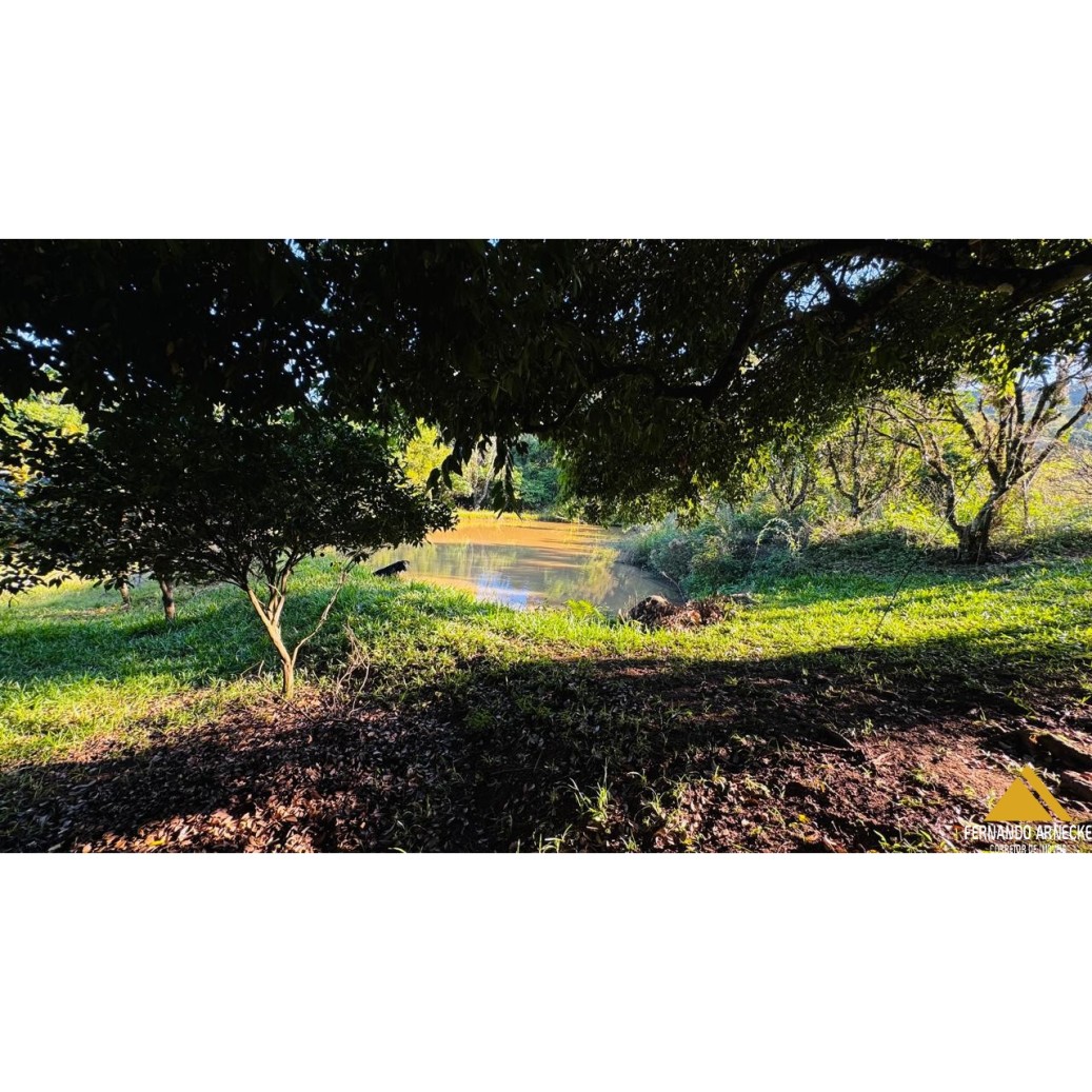 Chácara à venda com 3 quartos, 40000m² - Foto 8