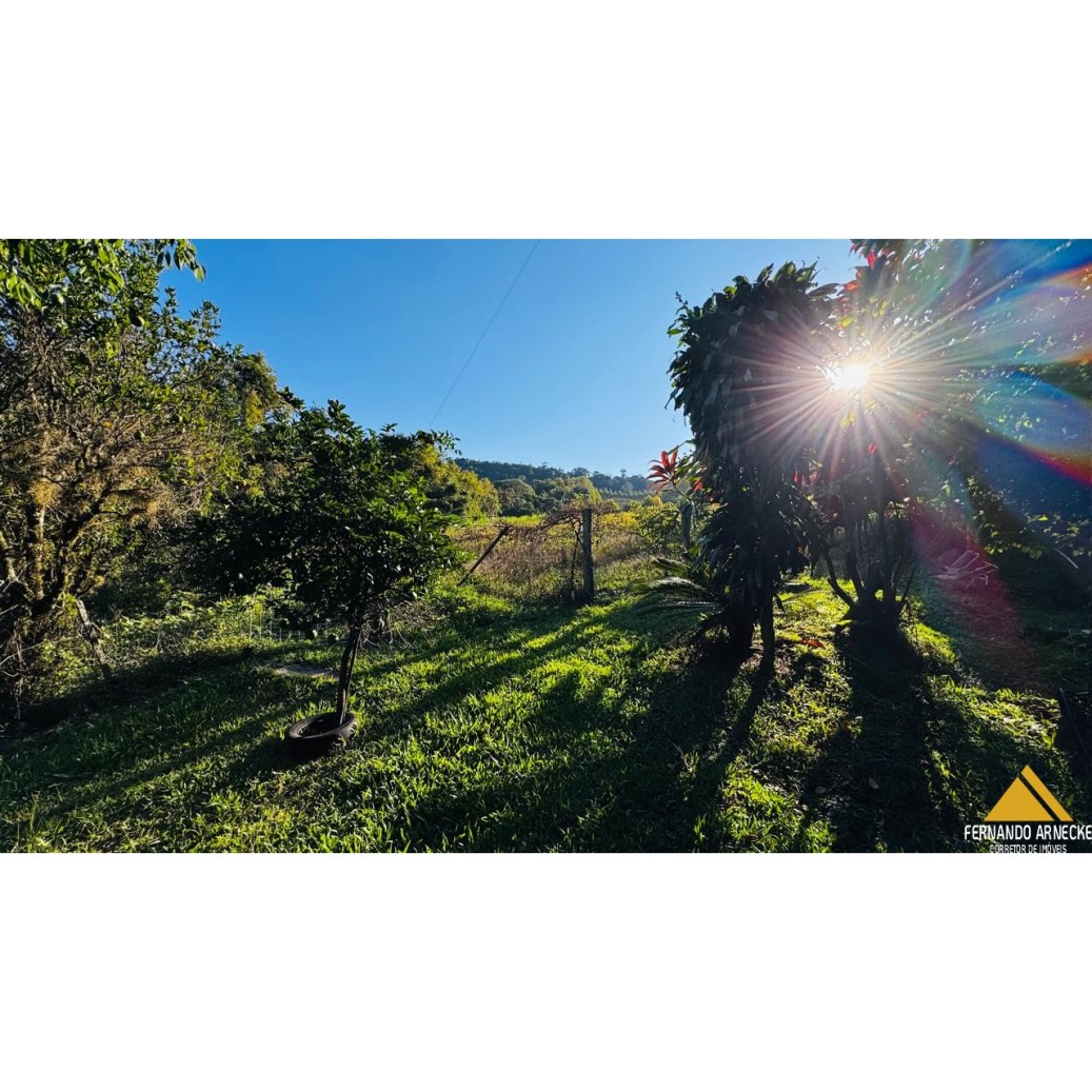Chácara à venda com 3 quartos, 40000m² - Foto 9