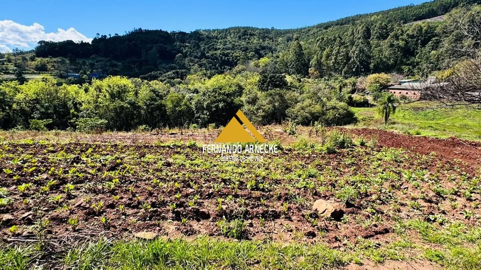 Sítio à venda, 30000m² - Foto 11