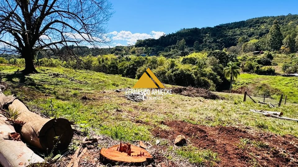 Sítio à venda, 30000m² - Foto 6