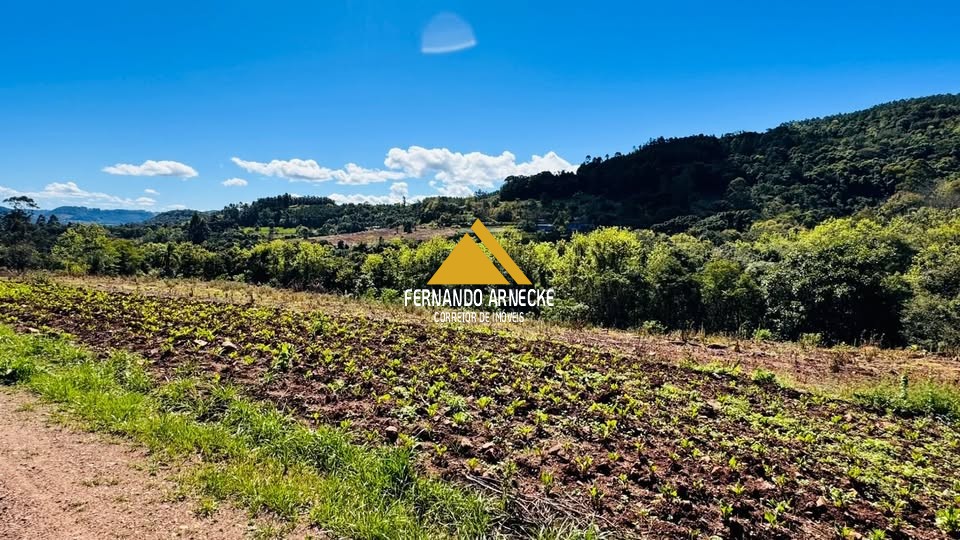 Sítio à venda, 30000m² - Foto 9